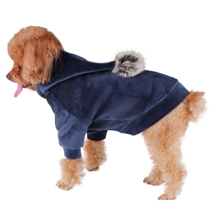 Wagsburg FrankFurter Hoodie
