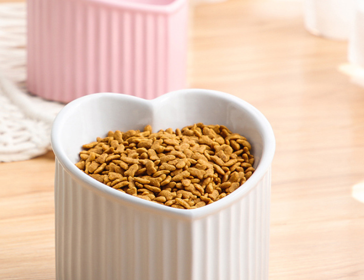 Wagsburg Elevate Ceramic Pet Bowl