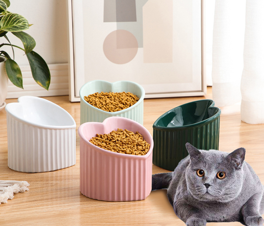 Wagsburg Elevate Ceramic Pet Bowl
