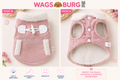 Wagsburg TeddyPaws Tank